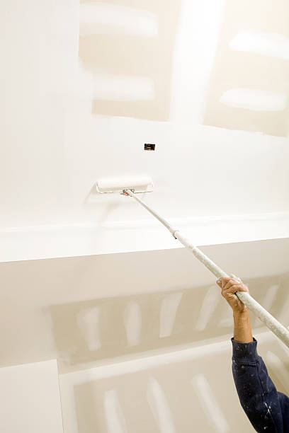 Trusted Hebron, PA Mold Removal Experts